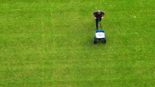 Wiosenne nawożenie trawnika – krok po kroku i bez błędów