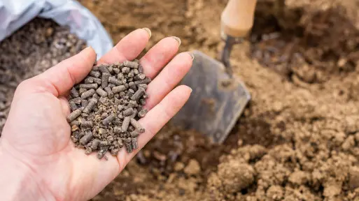 Naturalne wsparcie dla gleby i roślin. Te granulki ogrodnicy stosują zamiast chemii