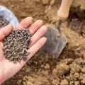 Naturalne wsparcie dla gleby i roślin. Te granulki ogrodnicy stosują zamiast chemii