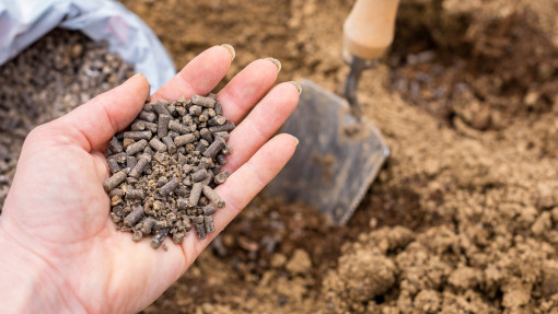 Naturalne wsparcie dla gleby i roślin. Te granulki ogrodnicy stosują zamiast chemii