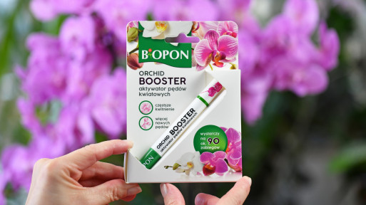 Posmaruj tym pęd storczyka, a wkrótce zakwitnie. Tak działa innowacyjny aktywator Orchid Booster