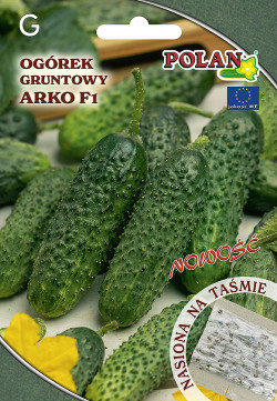 Ogórek ARKO F1