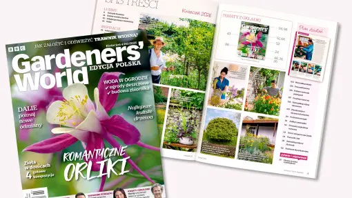 Wiosna w rozkwicie. Kwietniowy numer Gardeners’ World Polska już dostępny