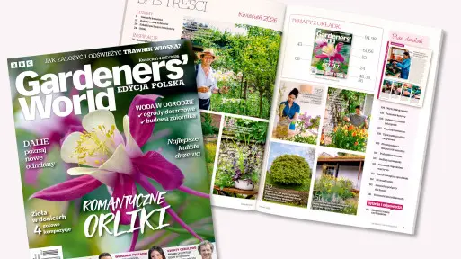 Wiosna w rozkwicie. Kwietniowy numer Gardeners’ World Polska już dostępny