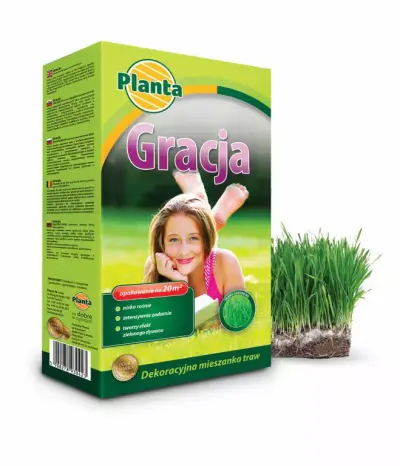 Trawa Gracja