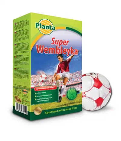 Trawa Super Wembleyka