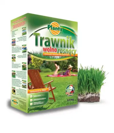 Trawa Trawnik wolnorosnący