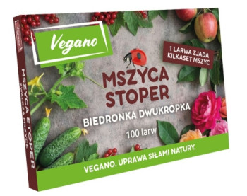 Mszyca Stoper – 100 larw biedronki