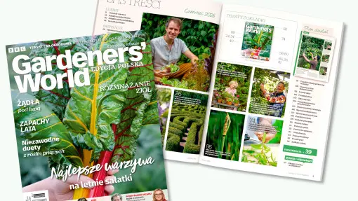 Czerwiec rozkwita w ogrodzie. Nowy Gardeners’ World inspiruje do działania