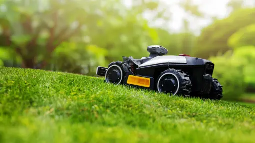 Robot koszący – kiedy warto zdecydować się na zakup i jakie ma zalety?