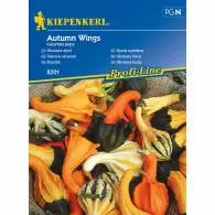 Dynia ozdobna 'Autumn Wings'