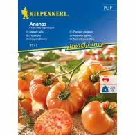 Pomidor mięsisty 'Ananas' | Kiepenkerl