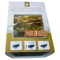 Zestaw do uprawy grzyb&oacute;w &ndash; Boczniak cytrynowy &ndash; 3 l Exotic Grow